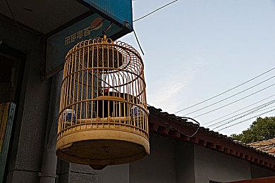 NS经典头像回归活动开启 半个月内可领取8款头像